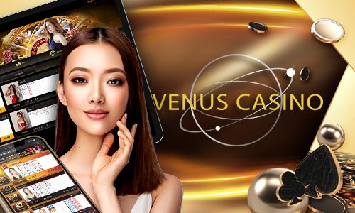 9d bet 4455 bet cassino H5