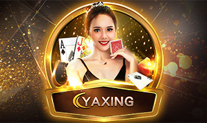 9d bet bis777 cassino on-line